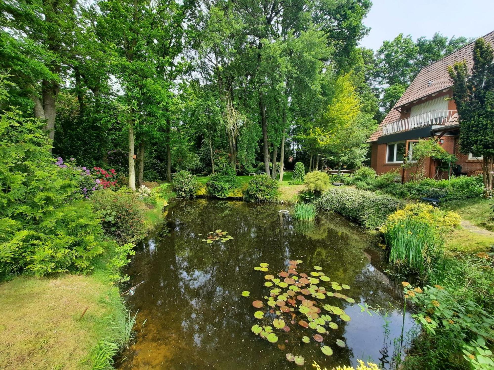 Dream Bed & Breakfast Dersum